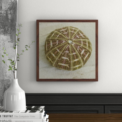 Judy Stalus - Single Picture Frame Print