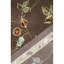 Dharma Oriental Area Rug in Brown