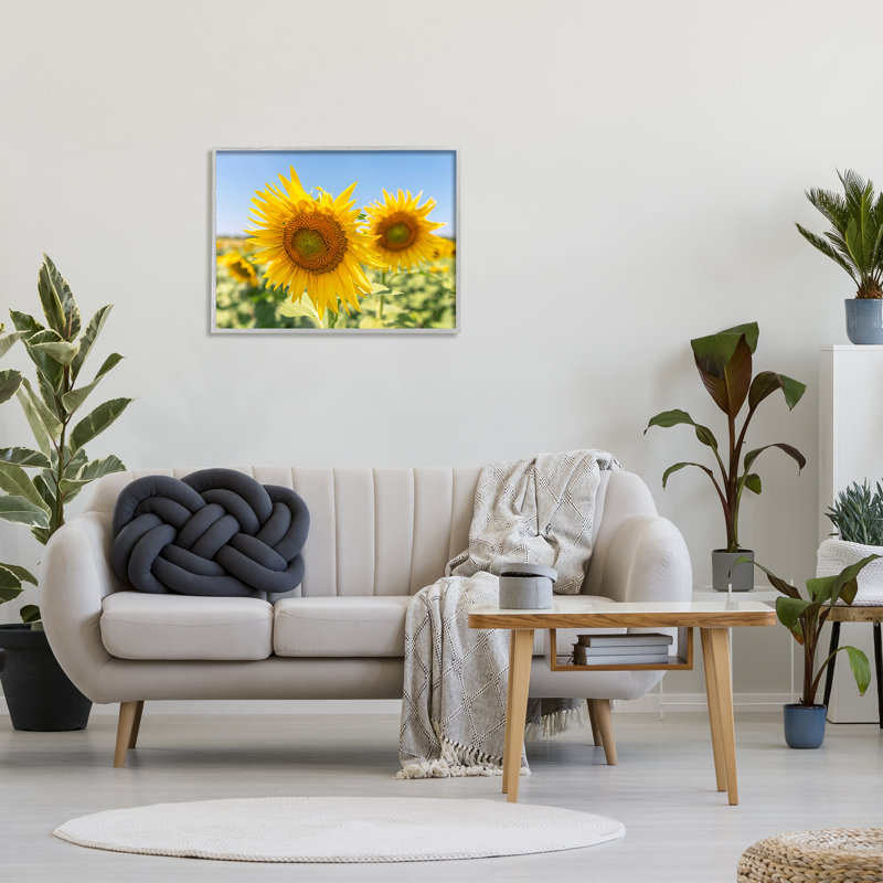 «Sunflower Florals In Sunny Blue Farm Field», art mural par Richard Silver, H 24 po x l 30 po x P 1,5 po, Gris célèbre