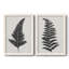 Toile encadrée «Forest Fern I-Premium» prête à être accrochée-239717771-239717775