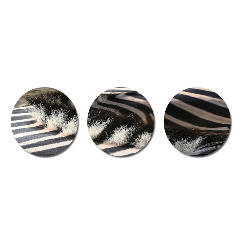 Détail de 3 lignes de zébrures noires et blanches V, ensemble d'impressions sur métal