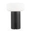 Lampe portable d'extérieur à DEL 8 po Shilo-368223396