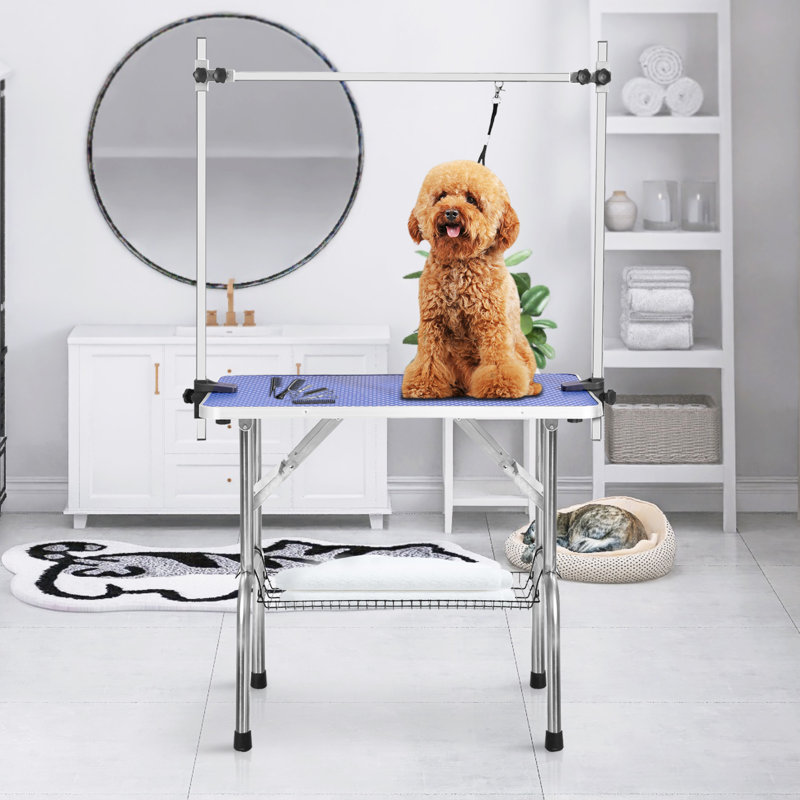 Table de toilettage professionnelle réglable, H 30 po x l 42 po x P 23,5 po, Bleu