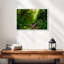 Forest Stream-571168939-571168938