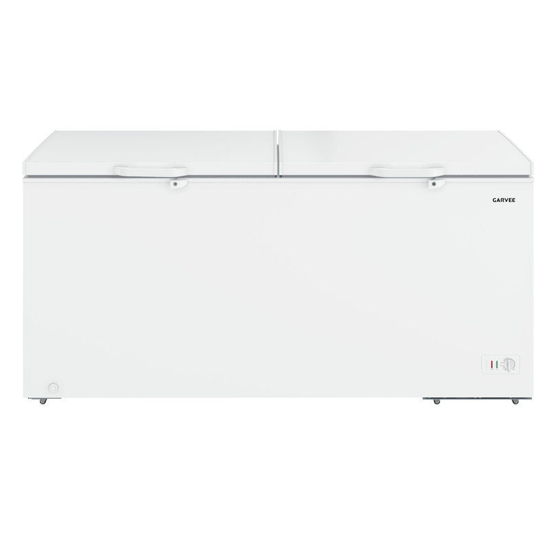 Coffre convertible pour congélateur 25 pi³ Ft, congélateur avec 2 paniers et 6 roulettes, prêt pour le garage avec serrure, R600a