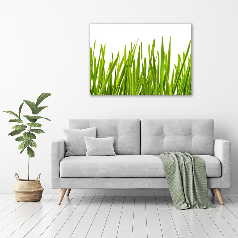 Grass - No Frame Print on Glass
