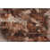 Cerrito Area Rug with Non-Slip Backing