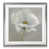 Silver Framed selected
