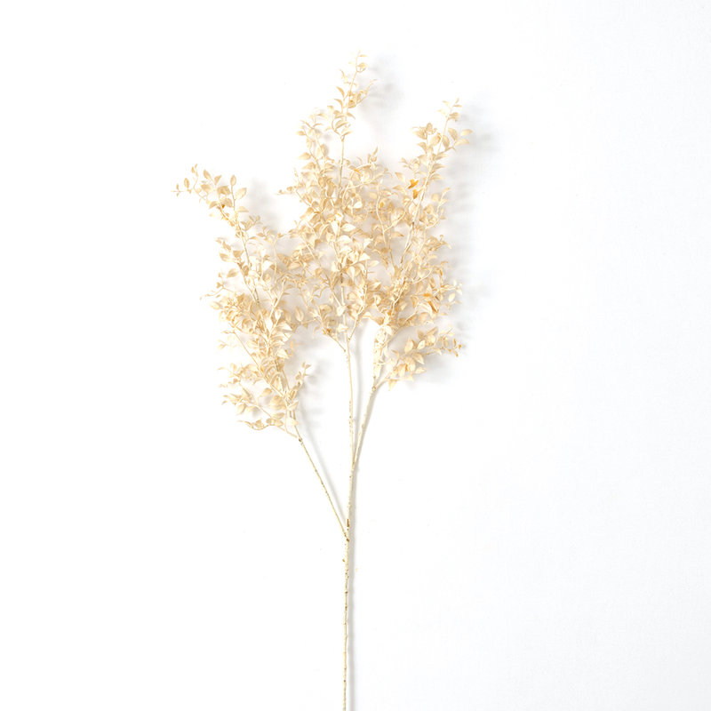 Smilax vaporisateur