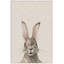 «Bunny Eyes II», toile encadrée-1650943508