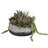 13 " H Faux Succulent in Cement Planter