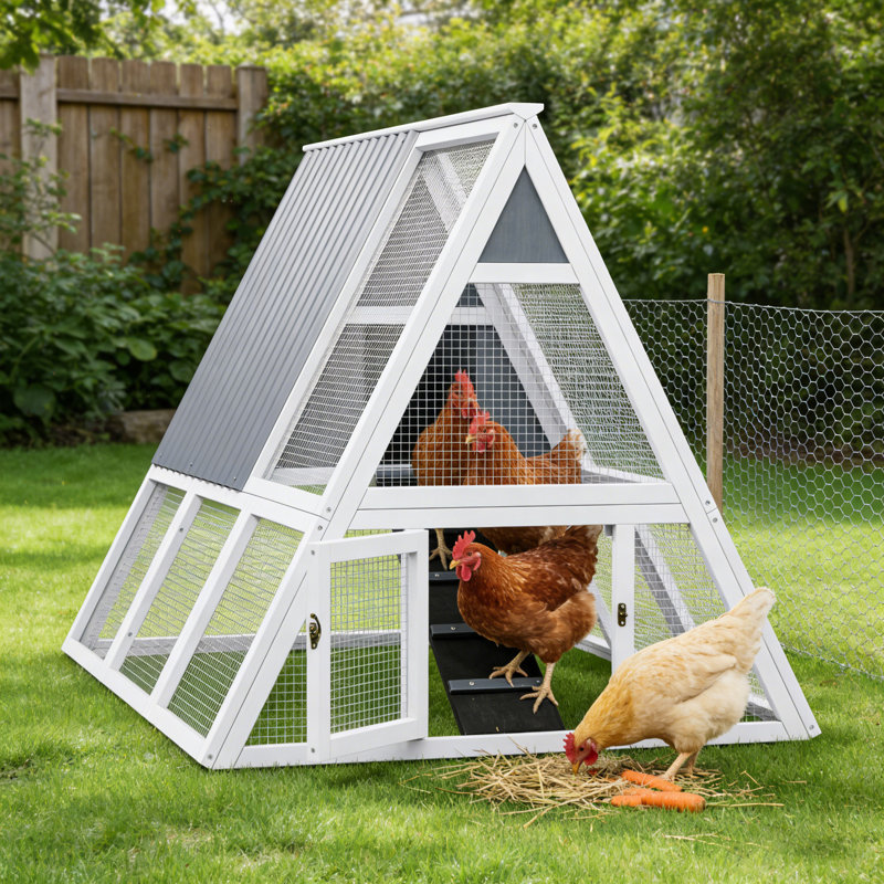 Poulailler d'extérieur à structure en A avec nichoir et plateau pour 4 poules adultes