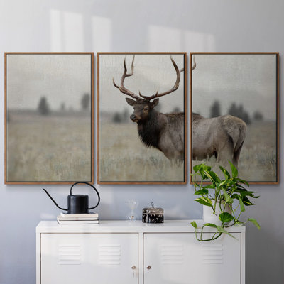 " Grand Elk " 3 - Pieces
