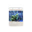 Aquarium courbé moderne-1981549525-2010380807