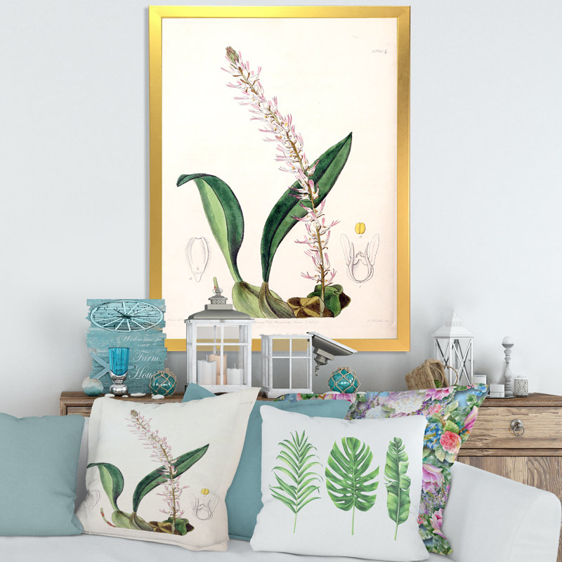 Vintage London Plants V - peinture sur toile, H 20 po x l 12 po x P 1po, Cadre doré