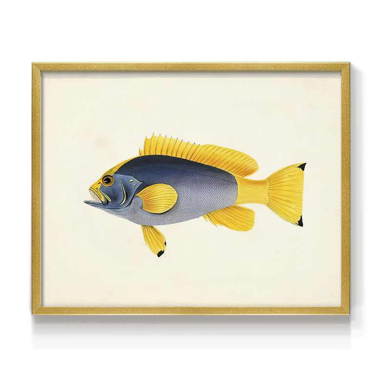 Tropical Fish Collection V -Framed Print - Restickable