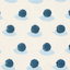 Indigo/Sky