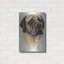 "Mastiff" par Barbara Keith-2040042921