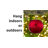 5.98 " Presents Bauble-92184559