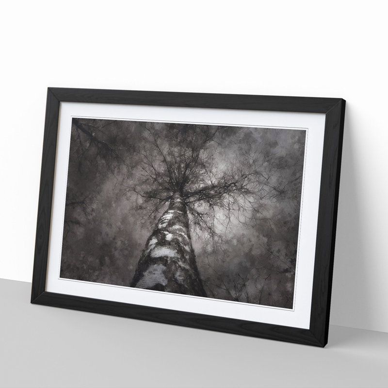 Birch Tree - Picture Frame Painting, 27cm H x 36cm W x 2cm D, Black Framed