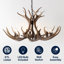 Lustre Rohrbach-1665339194-1727971514