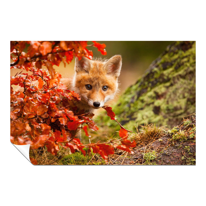 Brown Baby Fox In Wildlife - No Frame Print, 91cm H x 61cm W