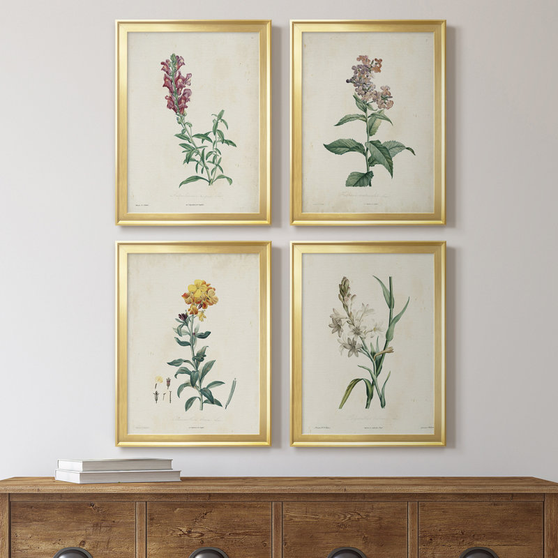 Traditional Botanical I - Ensemble de 4 peintures sur toile encadrées, H 36,5 po x l 106 po x P 1 po, Or