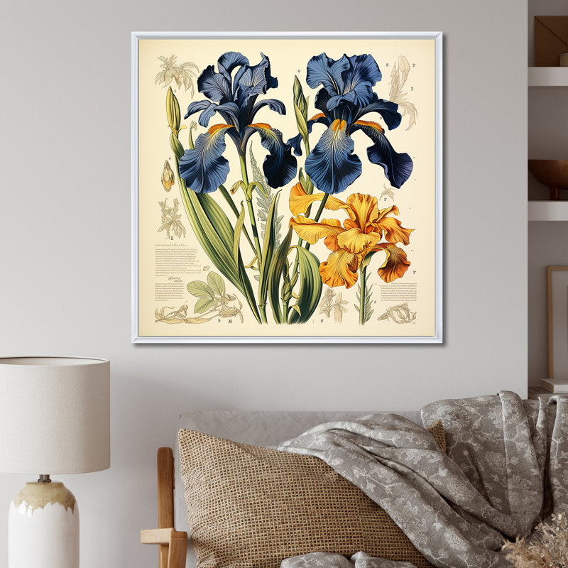 Illustration rétro - iris bleus, Cadre flottant blanc, H 36 po x l 36 po x P 1,5 po