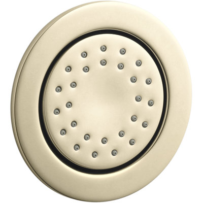 2 gpm WaterTile Round 27-Nozzle Body Spray 2.0 gpm with Stimulating Spray and Katalyst Air-Induction Technology