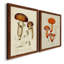 Toile encadrée de qualité supérieure Mushroom Variétés III - prête à être accrochée-2010089421-2010089423