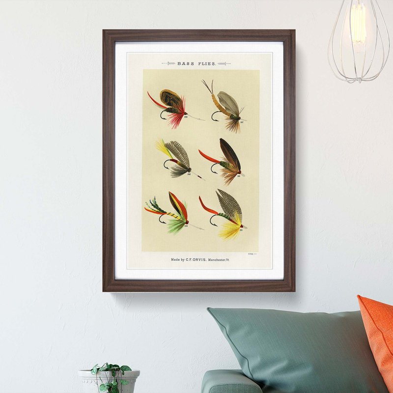 Bass Fishing Flies Versions 7 by Mary Orvis Marbury - Picture Frame Painting Print, 36cm H x 27cm W x 2cm D, Walnut Framed