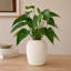 Handmade Ceramic Table Vase
