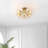 Ellerkamp Flush Mount