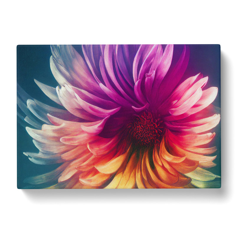 Dynamic Chrysanthemum Flower Abstract - Wrapped Canvas, 35cm H x 50cm W