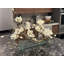 Sloped Glass Planter With White Magnolias