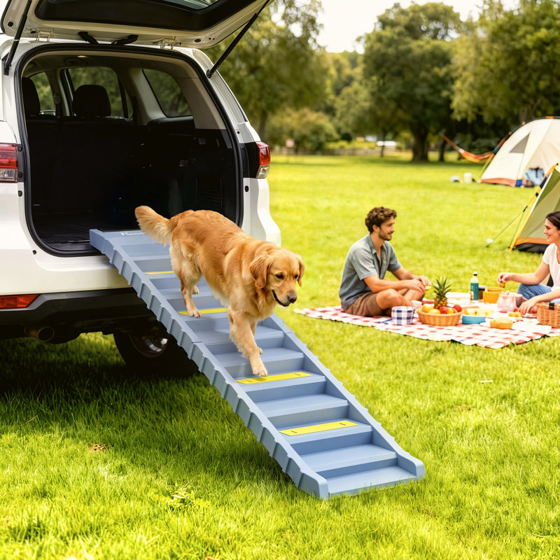 Rampe pour chien pour véhicule utilitaire sport, escalier pliable pour chien de taille moyenne à grande taille, escalier pliant pour animaux avec bandes et patins antidérapants, supporte jusqu'à 55 lb (10 marches), gris