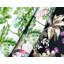 Briarwood Floral Matte Wallpaper Double Roll-1787003445