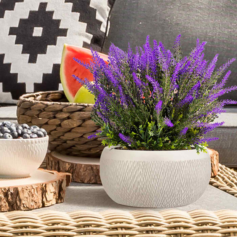 Concrete Effect Bowl Planter, Frostproof Outdoor Plant Pot, Garden Planter with Drainage Holes, Bonsai Pot, Shallow Planter with Mesh Pattern