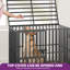 Caisse pour chien Ferndown-1998165905