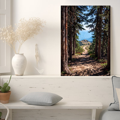 «Winding Forest Path Through Pine Trees To Mountain View», art mural sur toile