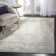 Nuss Performance Oriental Rug