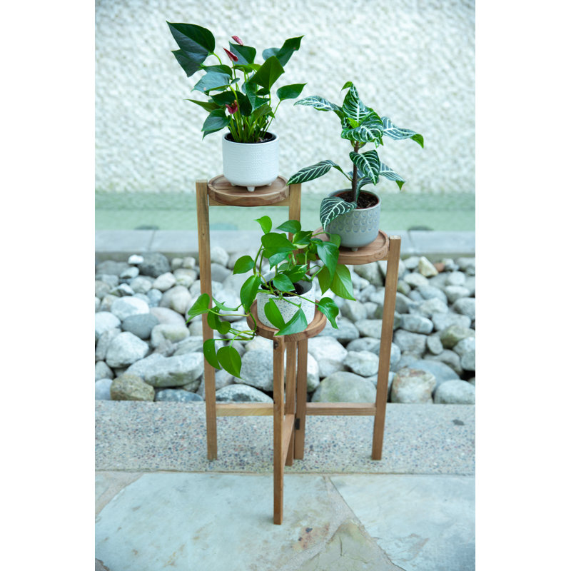 Support à plantes 3-fatigué Bencomo