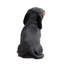 Animals Weather Resistant Polyresin Garden Statue-2144159789