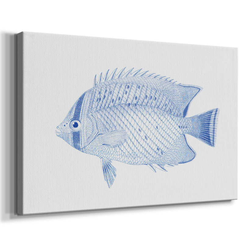 Poisson tropical bleu et blanc III - Cavas enveloppés de galerie, 8 x 12