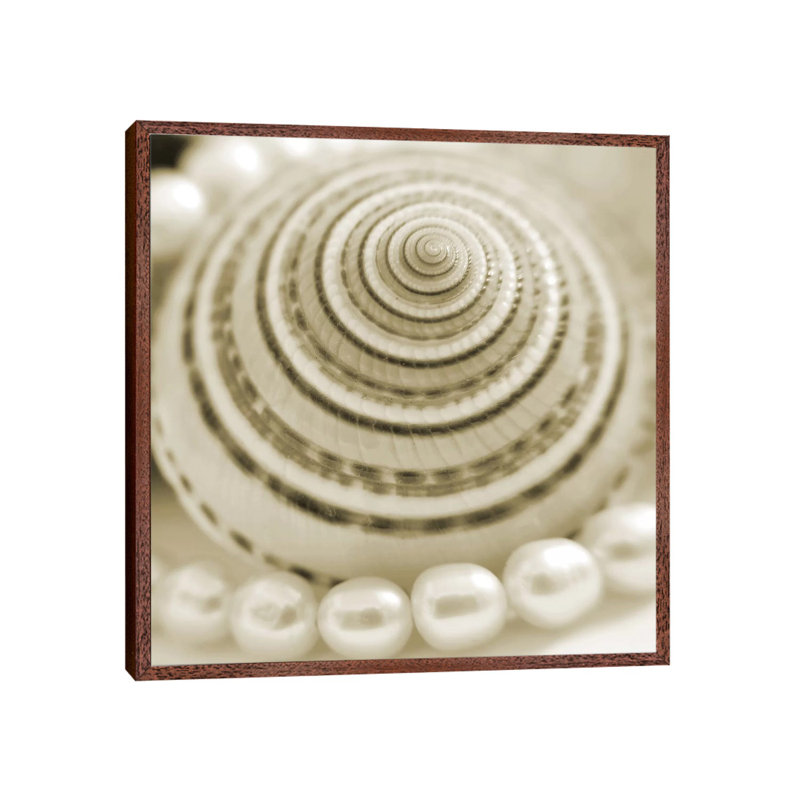 Shells And Pearls 1 - Print on Canvas, Classic Brown Wood Framed, 66.04 cm H x 66.04 cm W
