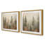 «Foggy Warm Forest»-169141574-169141573