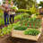 Aryabella Wood Raised Garden Bed