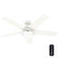 Ventilateur de plafond 52 po Hunter avec éclairage à DEL et télécommande portative Hunter-109003830-109003831
