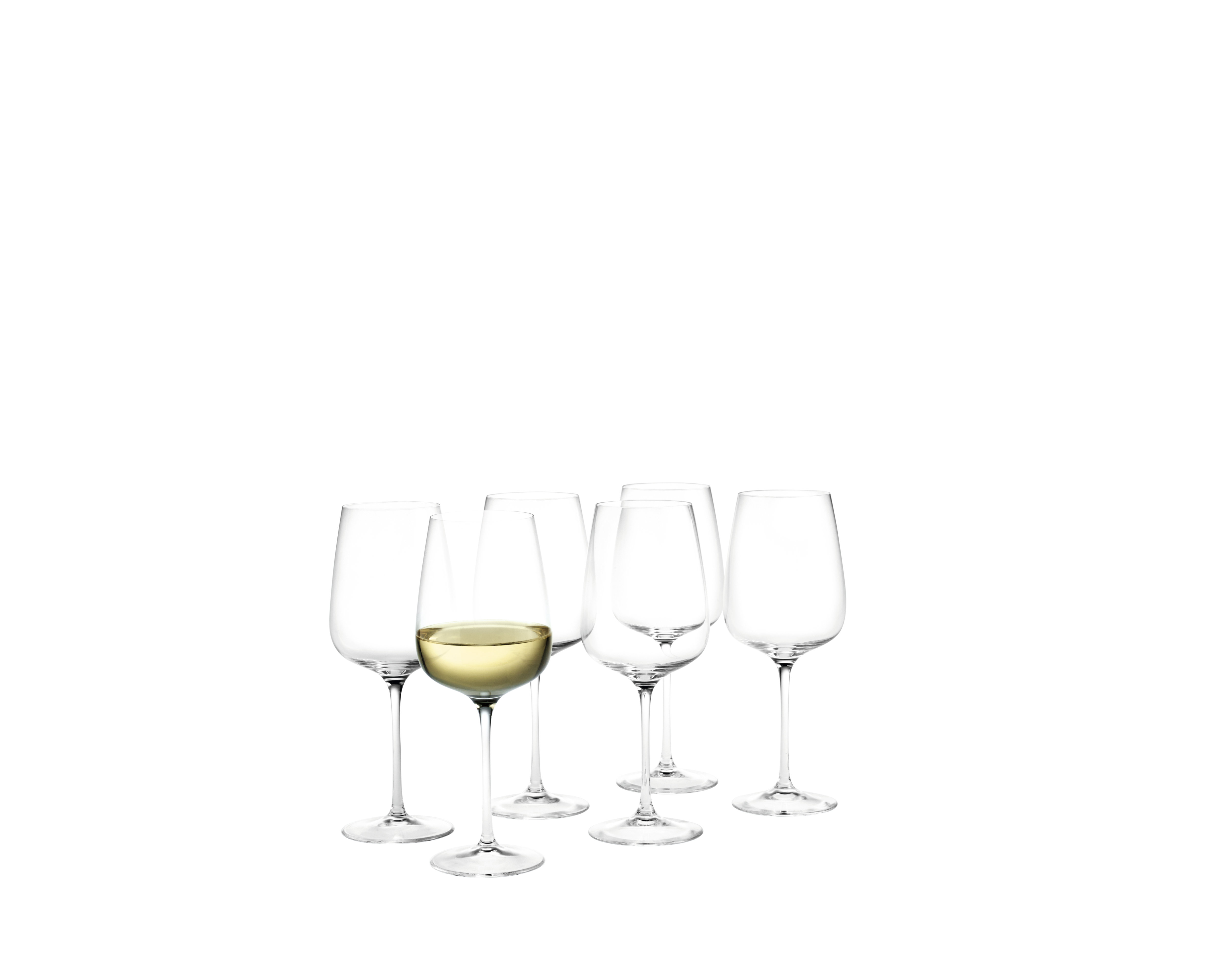 Holmegaard Cabernet Champagne Glass, Clear, 9.8 oz, 6 PCS.