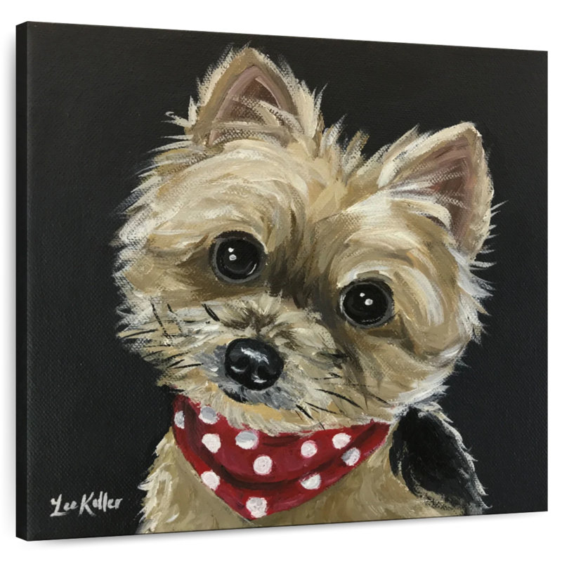 Crowle Yorkie - bandana rouge, H 16 po x l 16 po